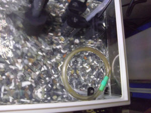 自作フィーダーカップ